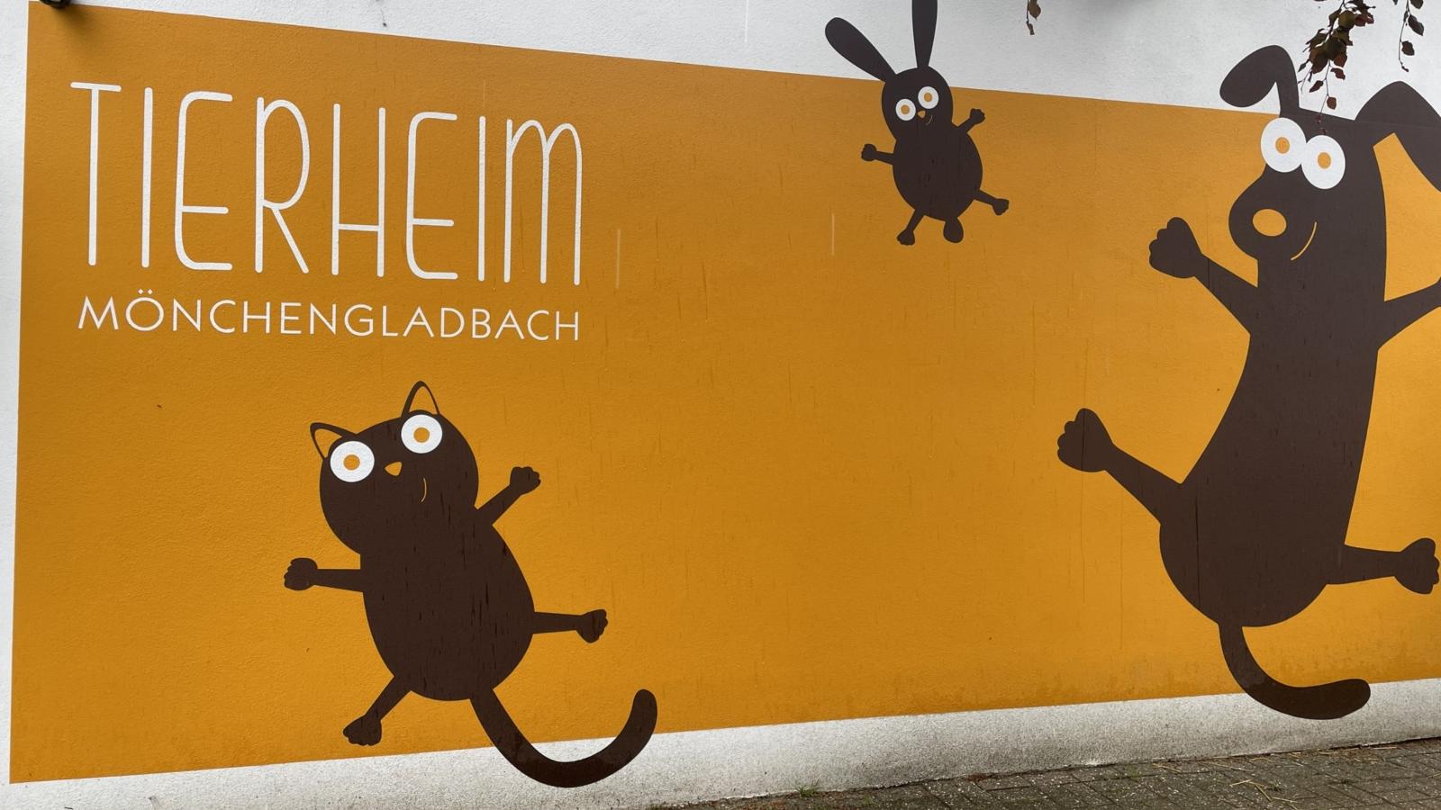 Tierheim 2