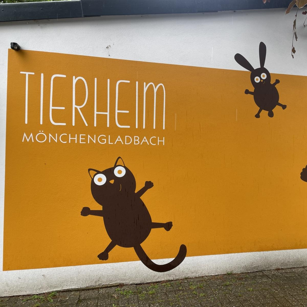 Besuch im Tierheim
