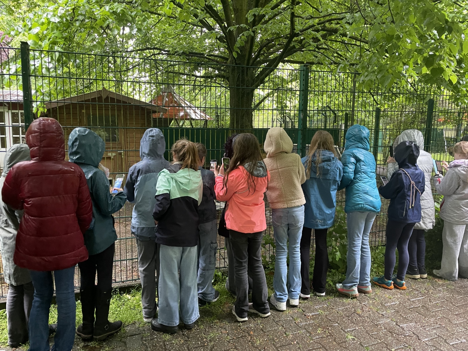 Tierheim 3