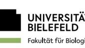 Uni Bielefeld