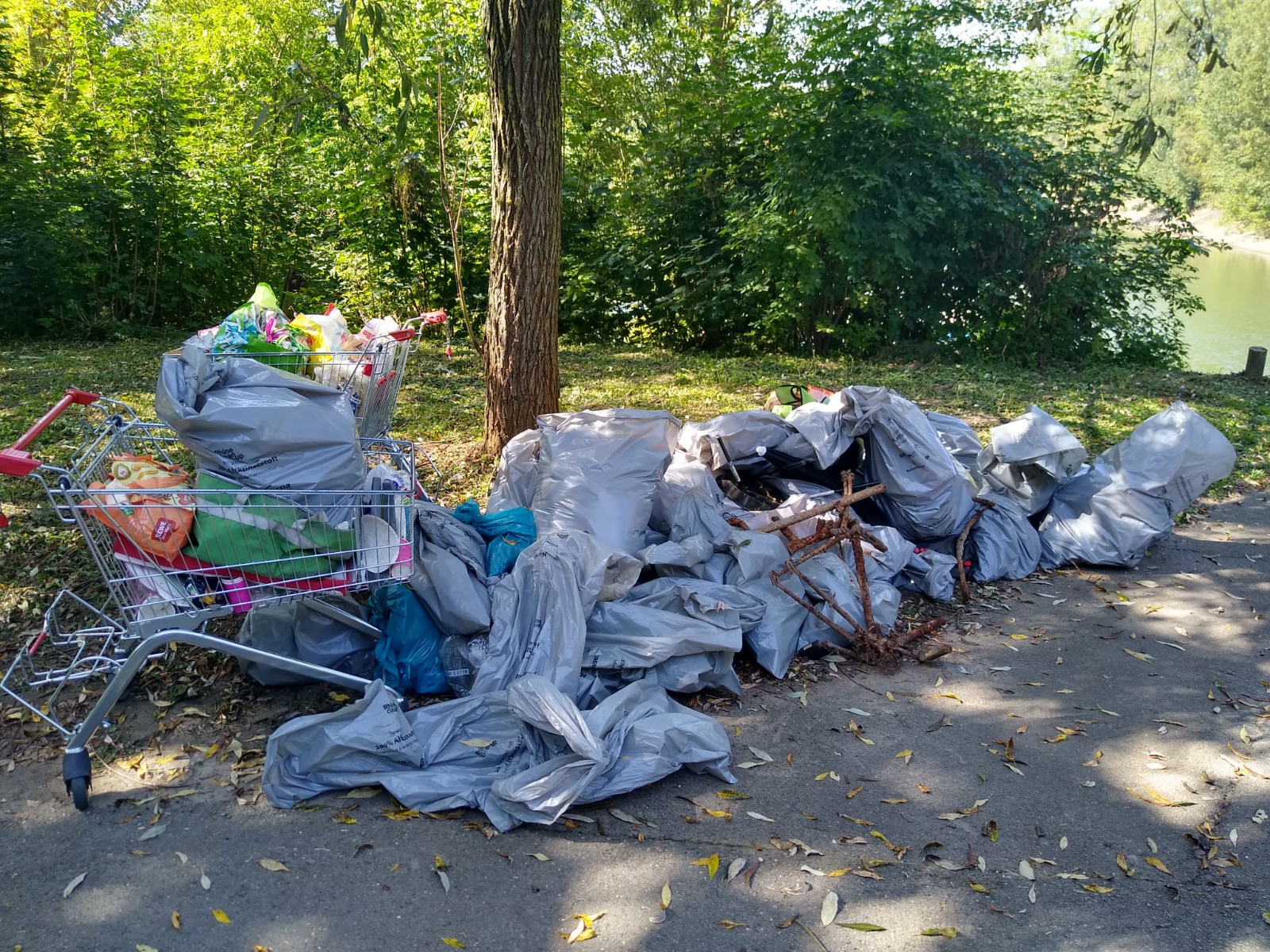 Rhine Clean Up 3