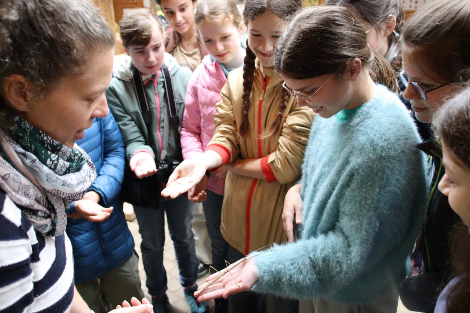 Klasse 6a - in der Waldschule Düsseldorf-Grafenberg (03)