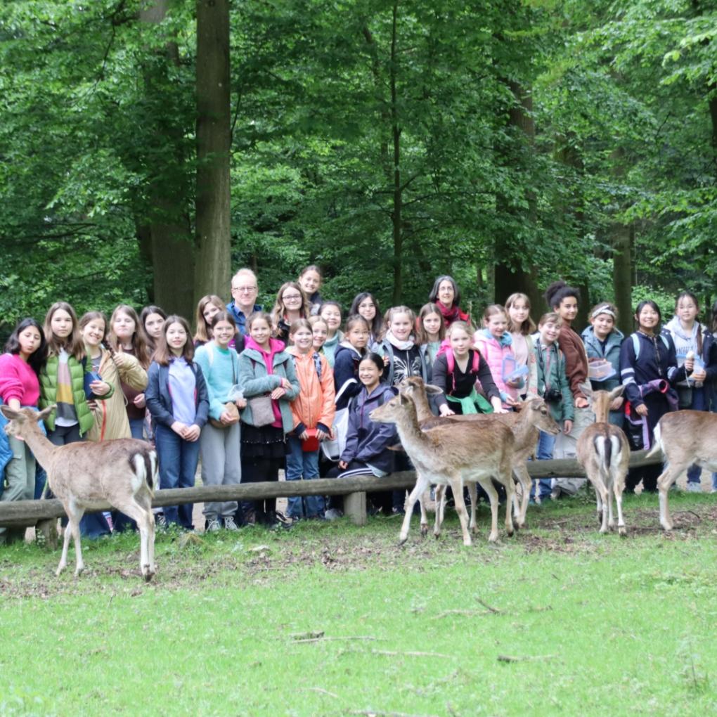 Klasse 6a in der Waldschule des Wildparks Grafenberg