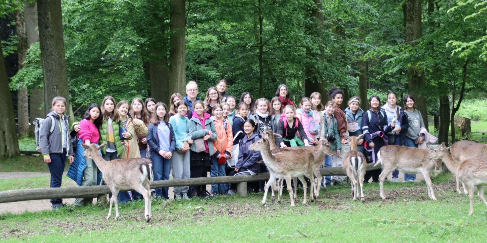 Klasse 6a - in der Waldschule Düsseldorf-Grafenberg (04)(1)