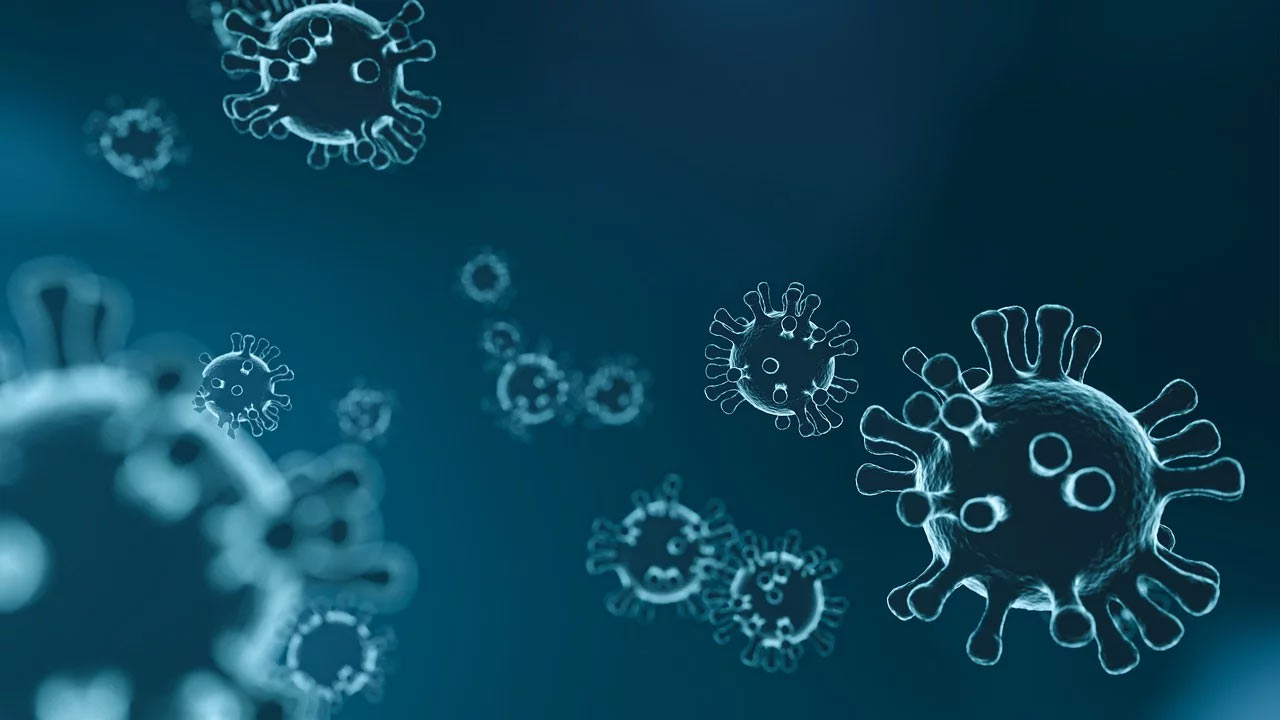Coronavirus/COVID-19