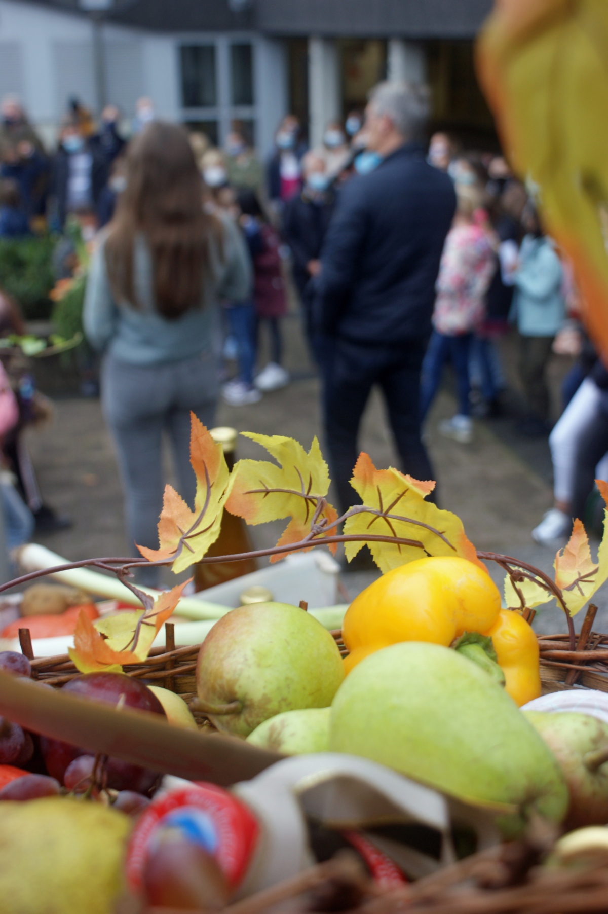 Foto C.Schmitz